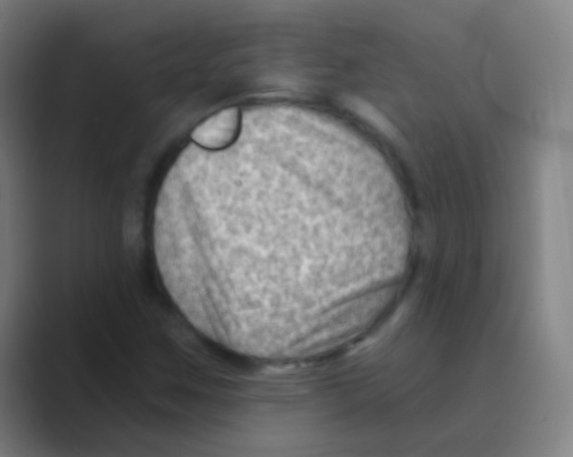 X0000088711259200706282036