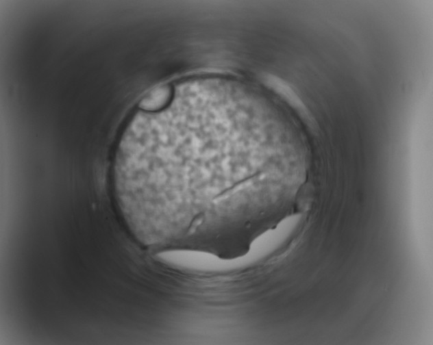 X0000088711260200706282036