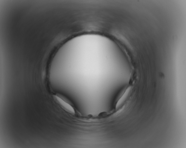 X0000088711261200706282036