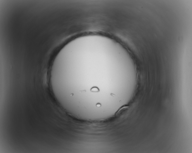 X0000088711262200706282036