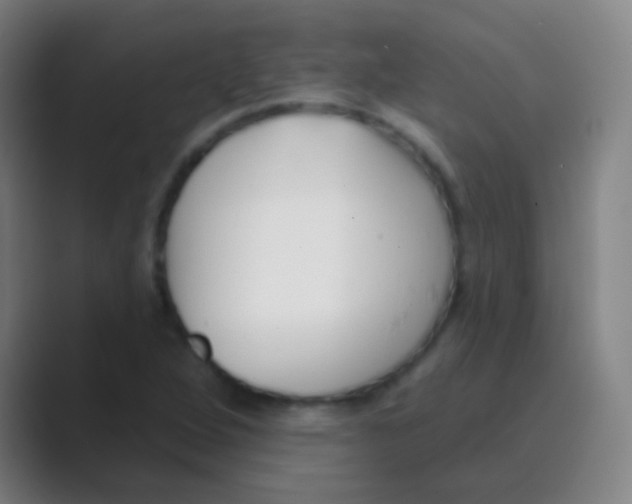 X0000088711264200706282036