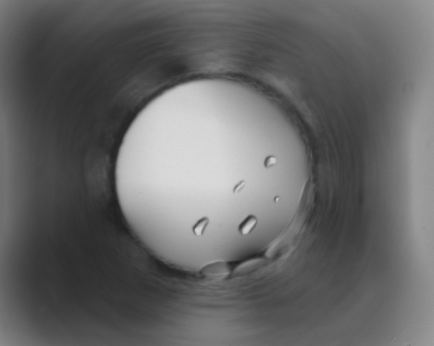 X0000088711265200706282036