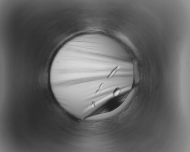 X0000088711268200706282036