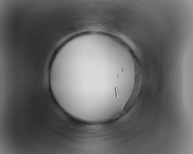 X0000088711272200706282036