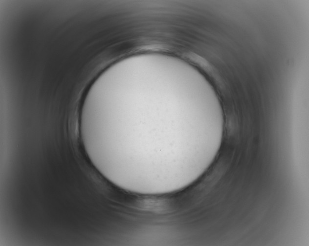 X0000088711274200706282036