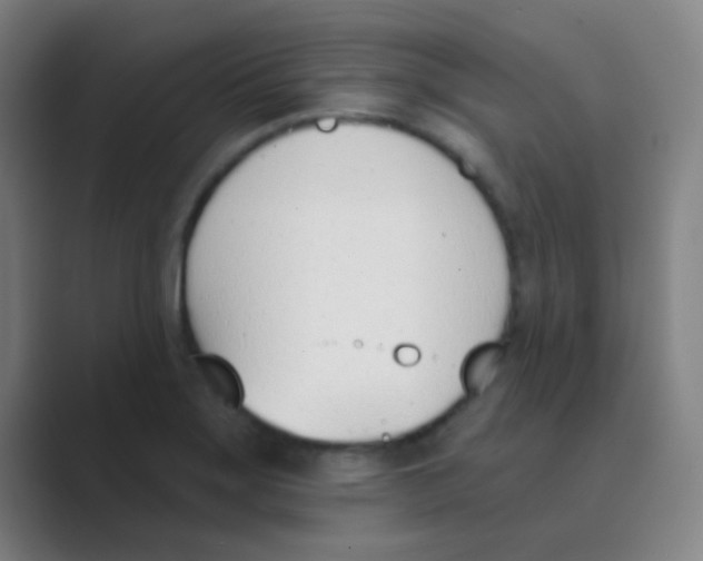 X0000088711275200706282036