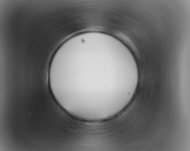 X0000088711276200706282036