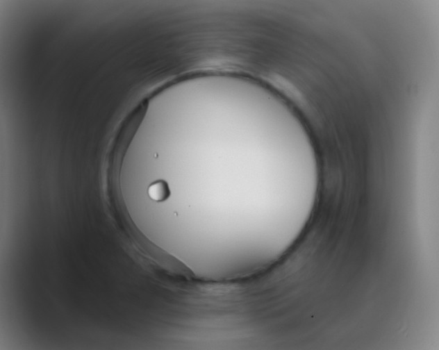 X0000088711277200706282036