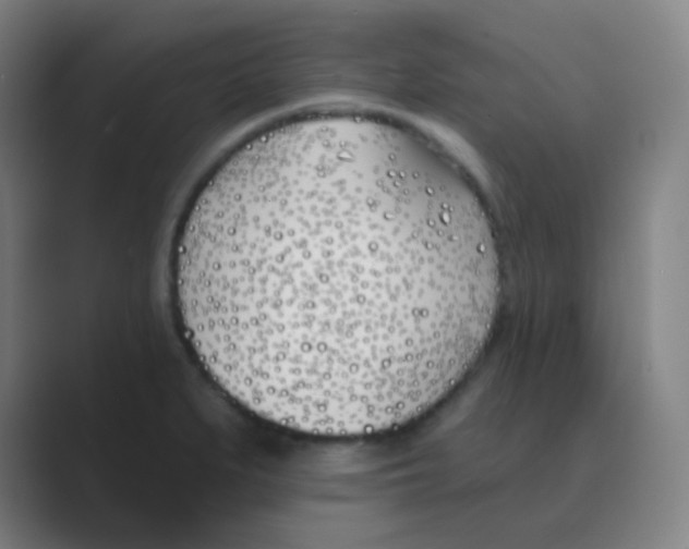 X0000088711279200706282036