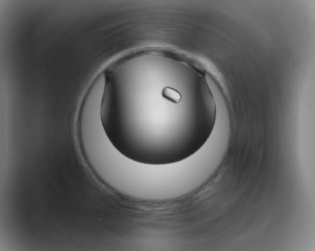 X0000088711287200706282036