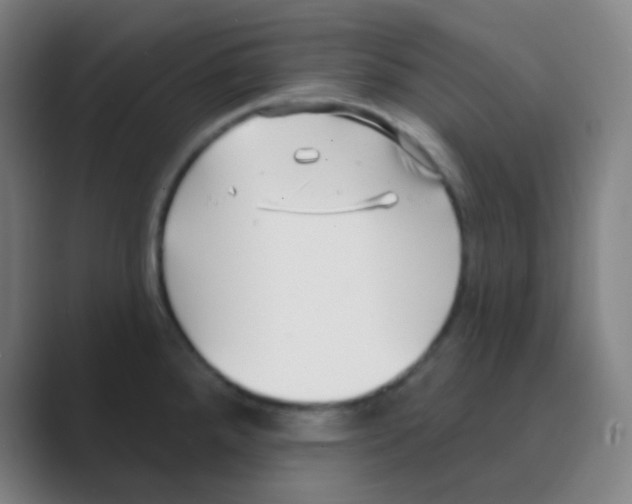 X0000088711288200706282036