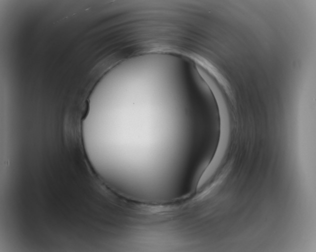 X0000088711289200706282035