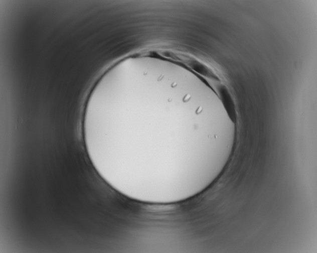 X0000088711296200706282035