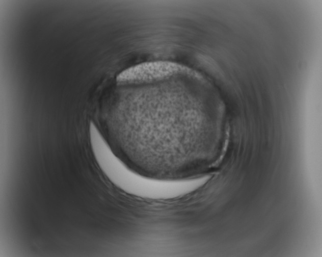 X0000088711298200706282035