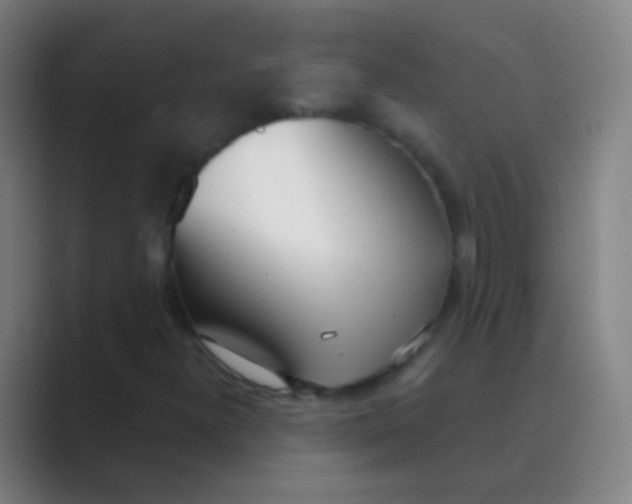 X0000088711300200706282035