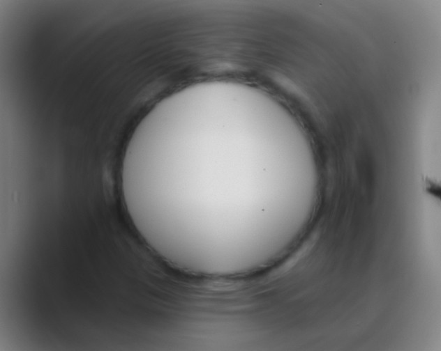 X0000088711305200706282035