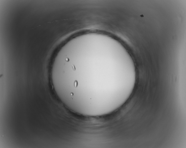 X0000088711311200706282035