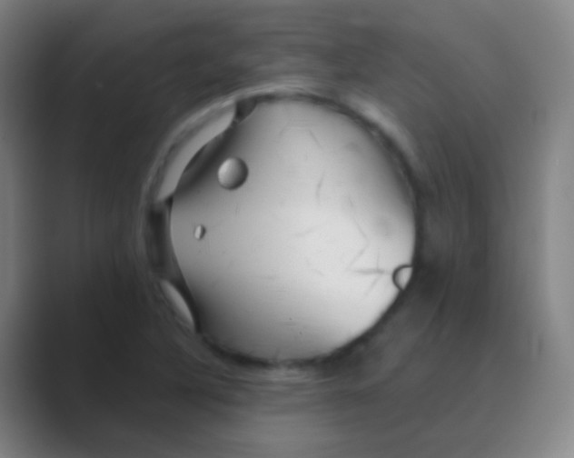 X0000088711316200706282035