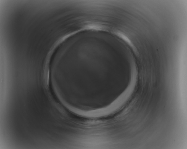 X0000088711323200706282035