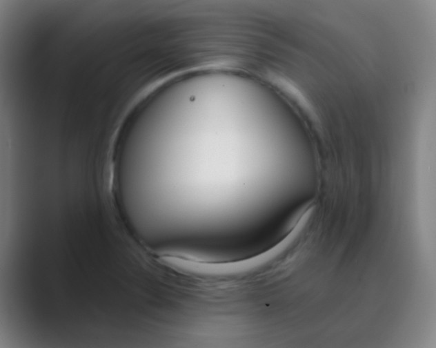 X0000088711324200706282035