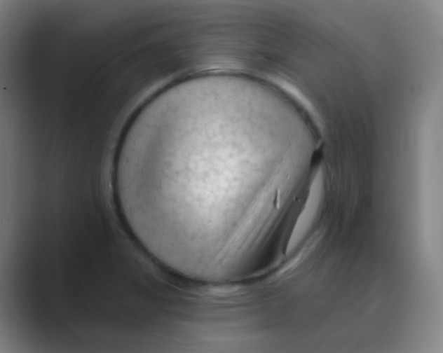 X0000088711325200706282035