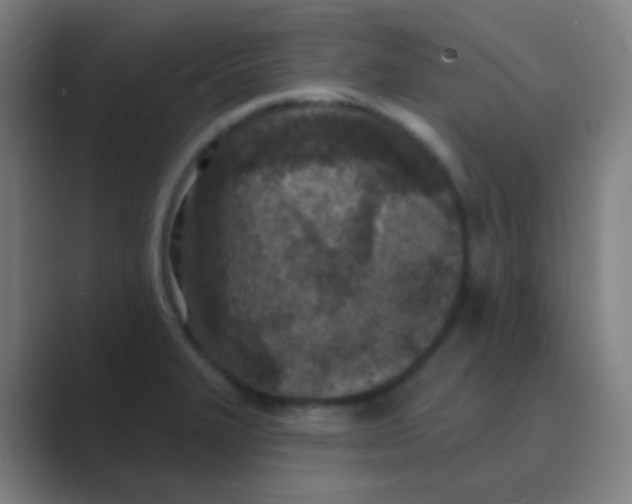 X0000088711327200706282035