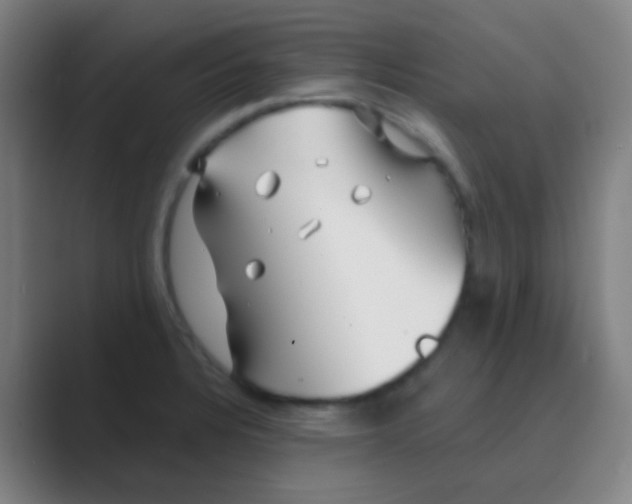 X0000088711328200706282035