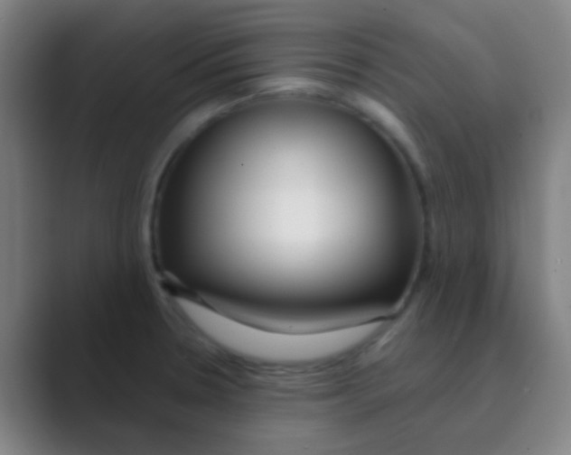 X0000088711330200706282035