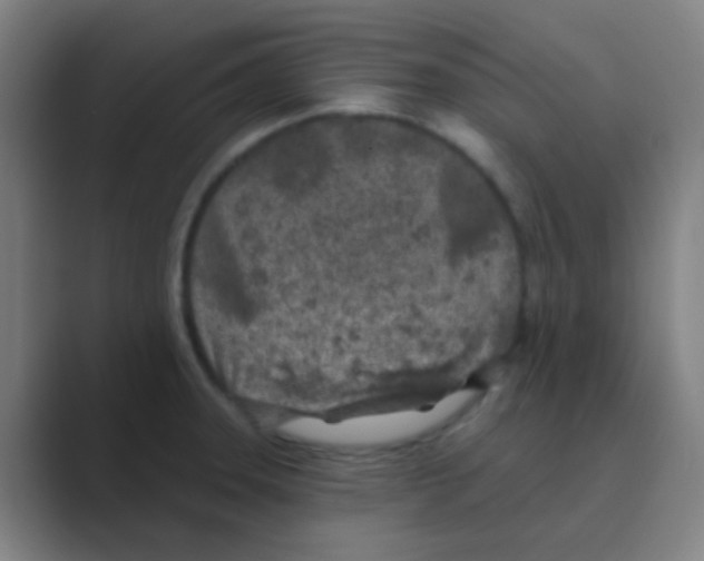 X0000088711331200706282035