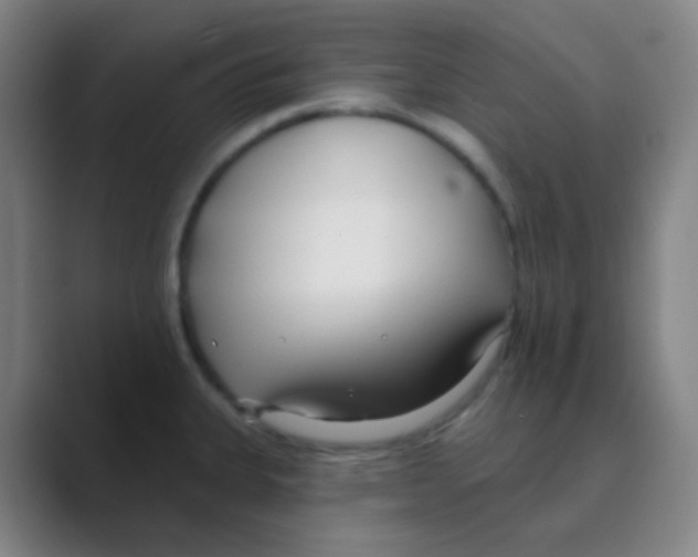 X0000088711335200706282035