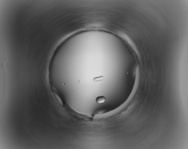 X0000088711336200706282035