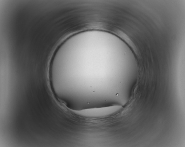 X0000088711339200706282035