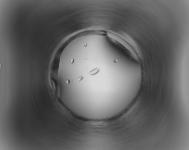 X0000088711340200706282035