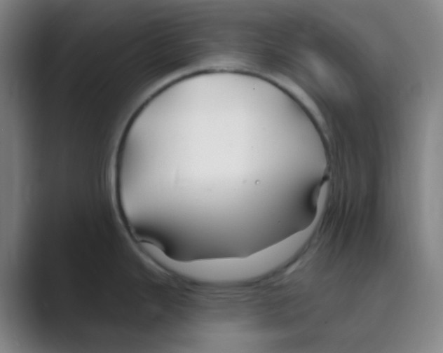 X0000088711343200706282035