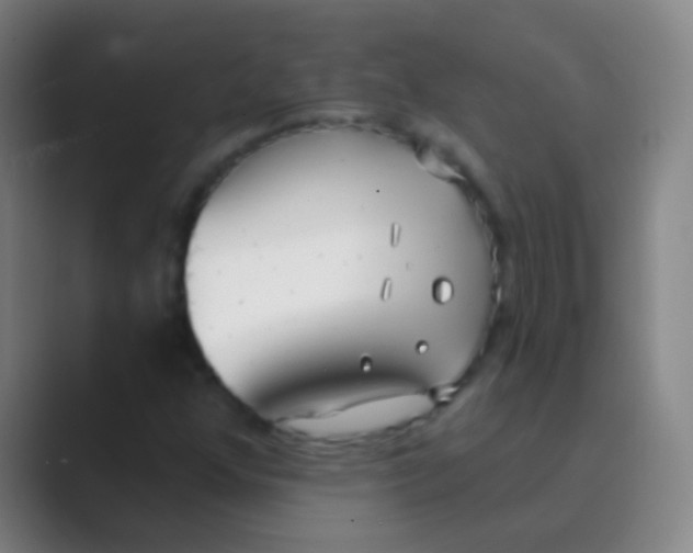 X0000088711352200706282035