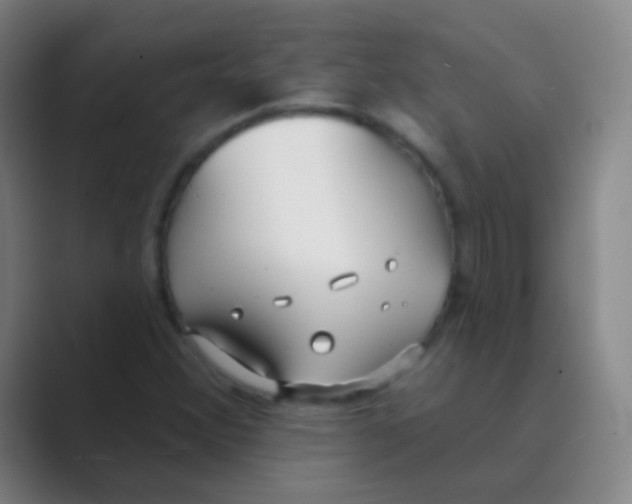 X0000088711356200706282035