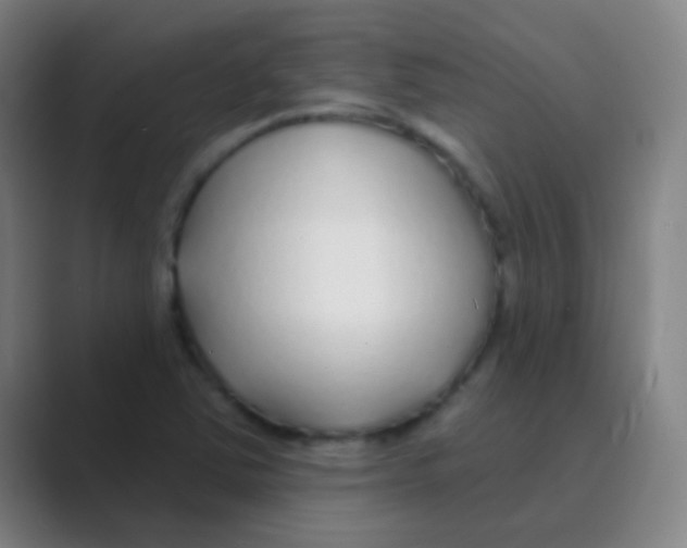 X0000088711363200706282035