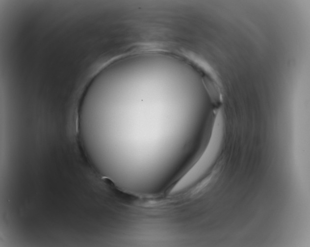 X0000088711365200706282035