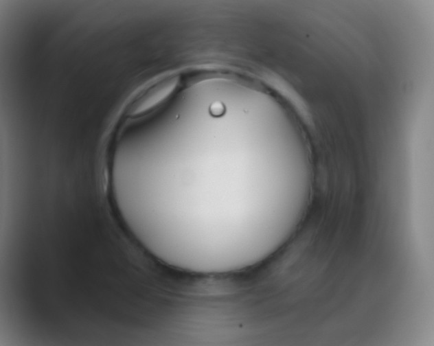 X0000088711368200706282034