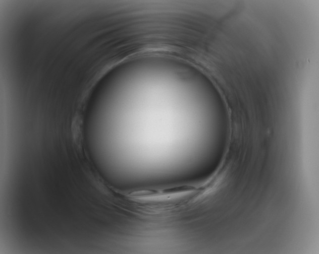 X0000088711369200706282034