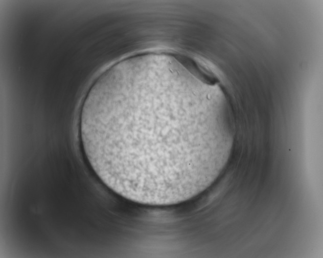 X0000088711375200706282034