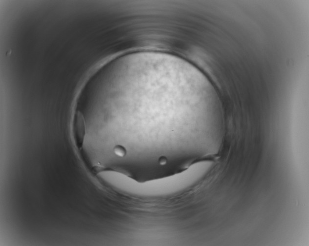 X0000088711379200706282034