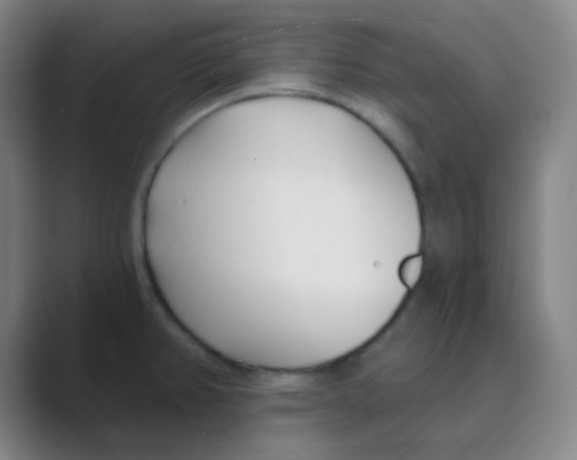 X0000088711382200706282034