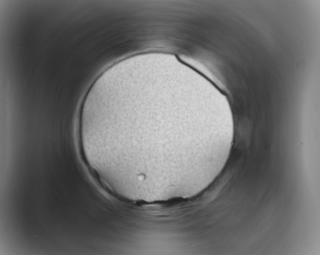 X0000088711391200706282034