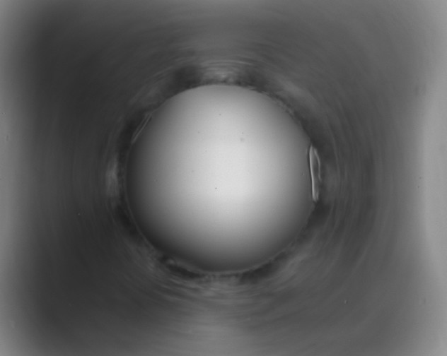 X0000088711394200706282034