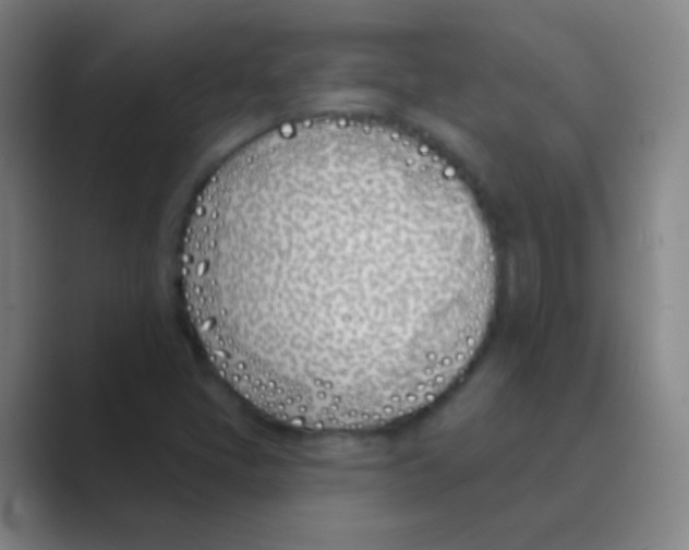 X0000088711405200706282034