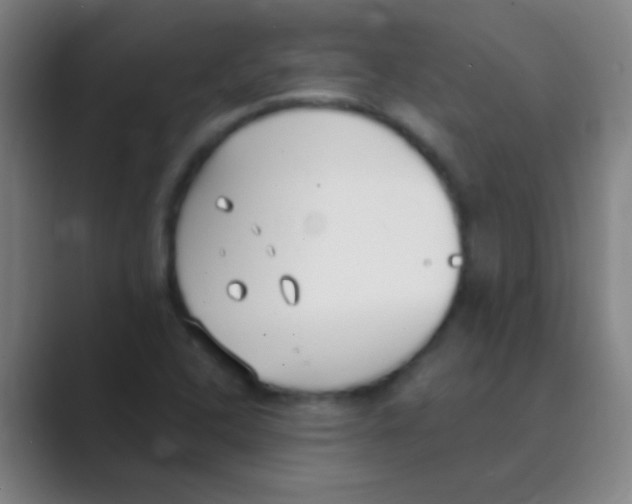 X0000088711408200706282034