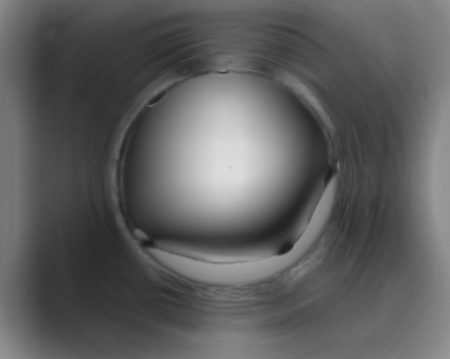 X0000088711434200706282034