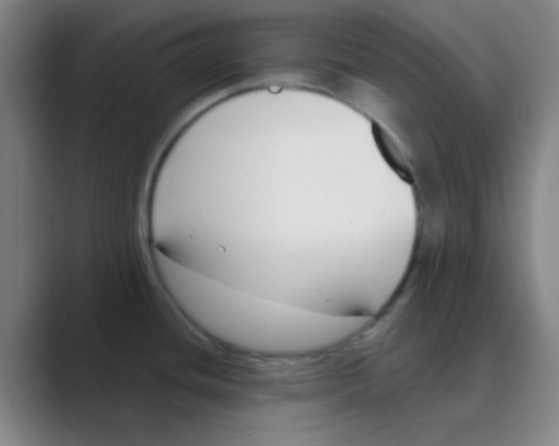 X0000088711436200706282034