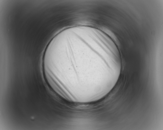 X0000088711439200706282034